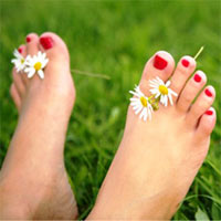 Педикюр обрезной Педикюр обрезной